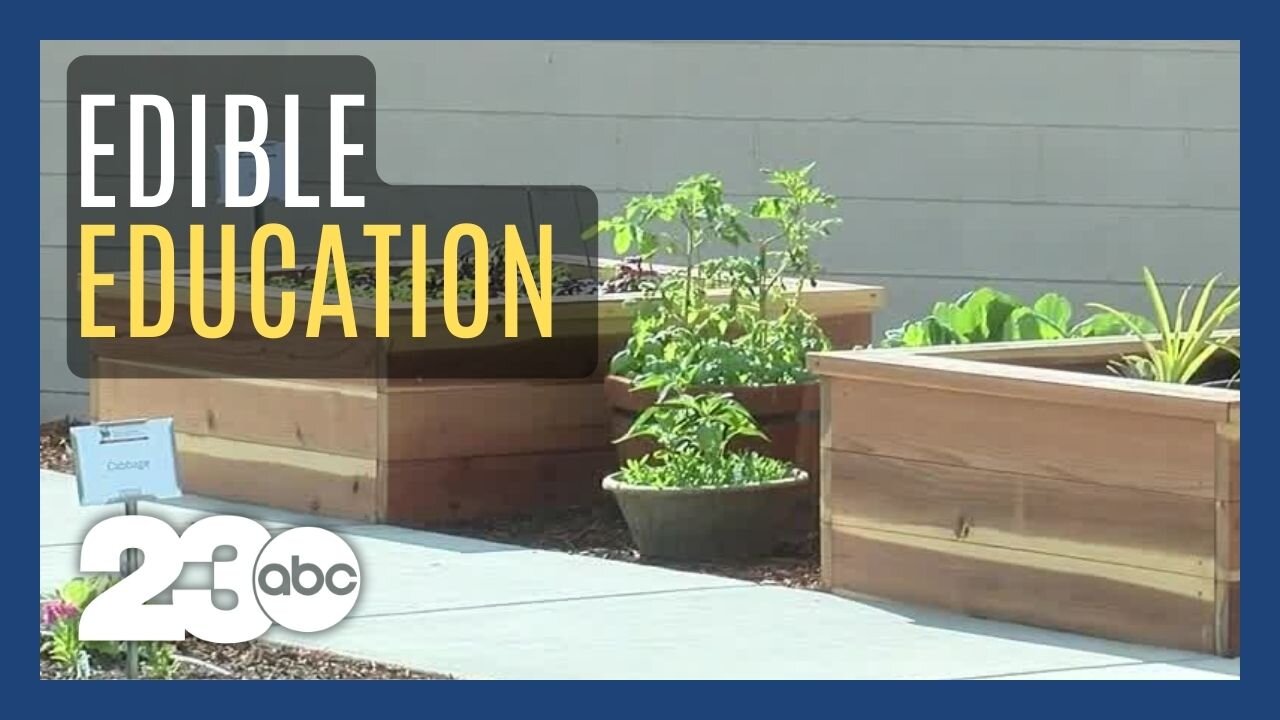 Bakersfield College opens Edible Education Garden