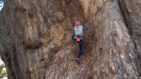 Långbeta: This is the shit, 7b+ @ Östnoraberget