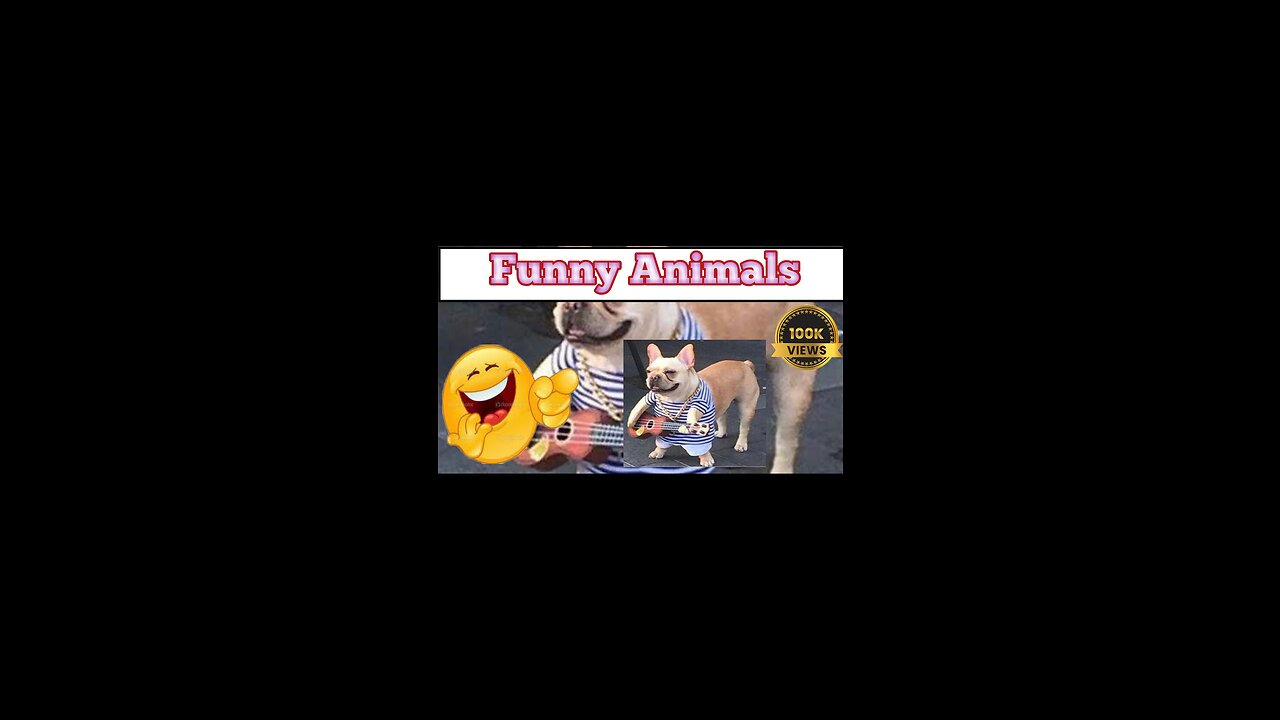 Funny animals 2023