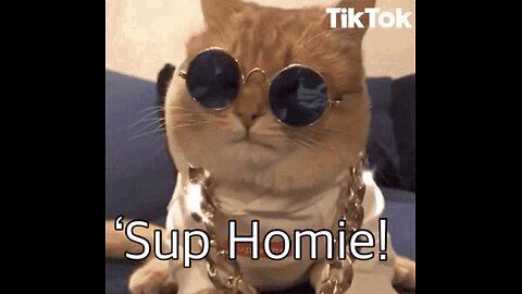 Comedy break 🤣 😆