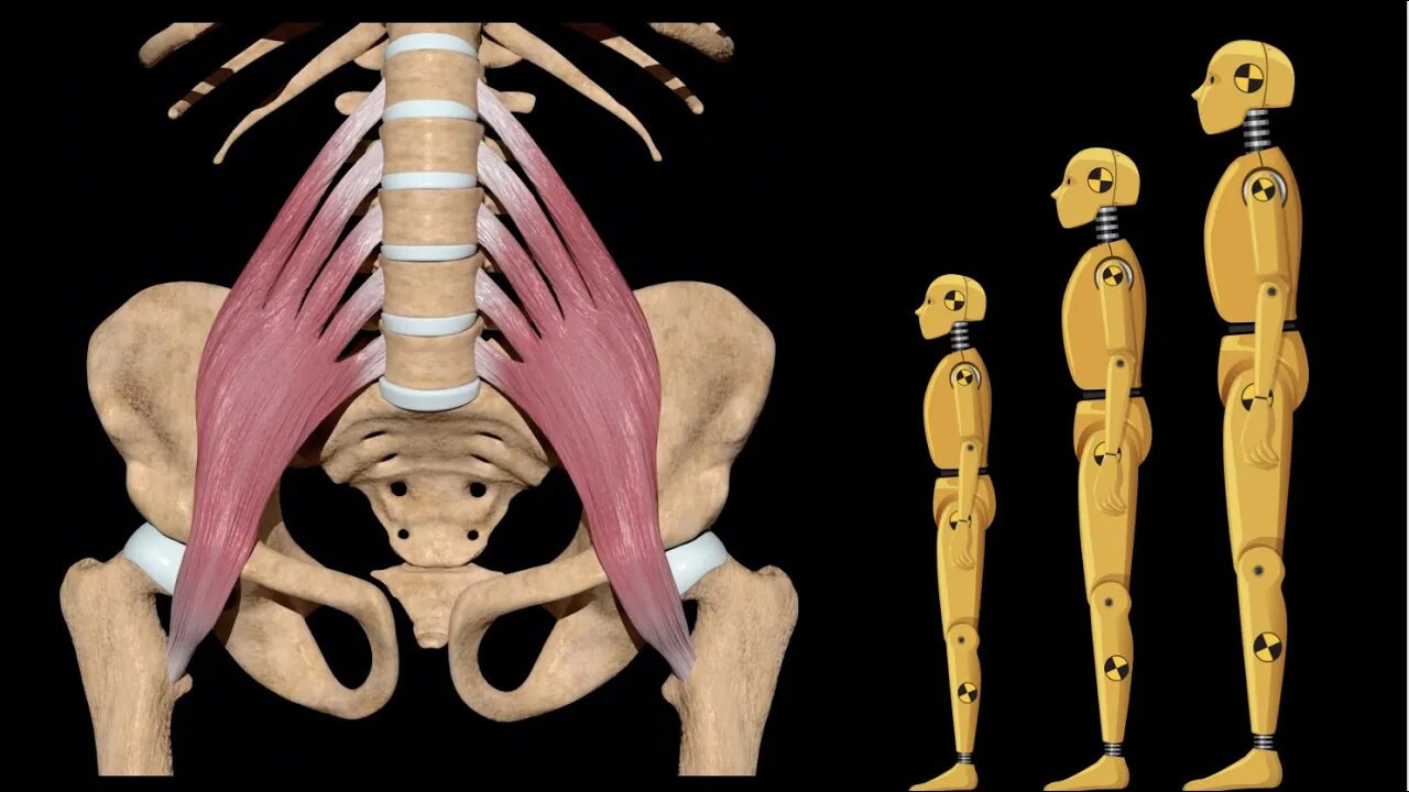 Kneeling Hip Flexor Stretch for dummies | How to stretch the psoas while kneeling