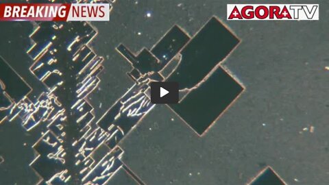 Flash Spécial ! Observation au microscope du produit injecta