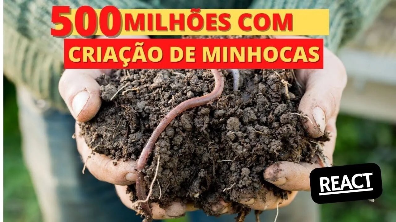 Criação de minhocas é lucrativo? REACT