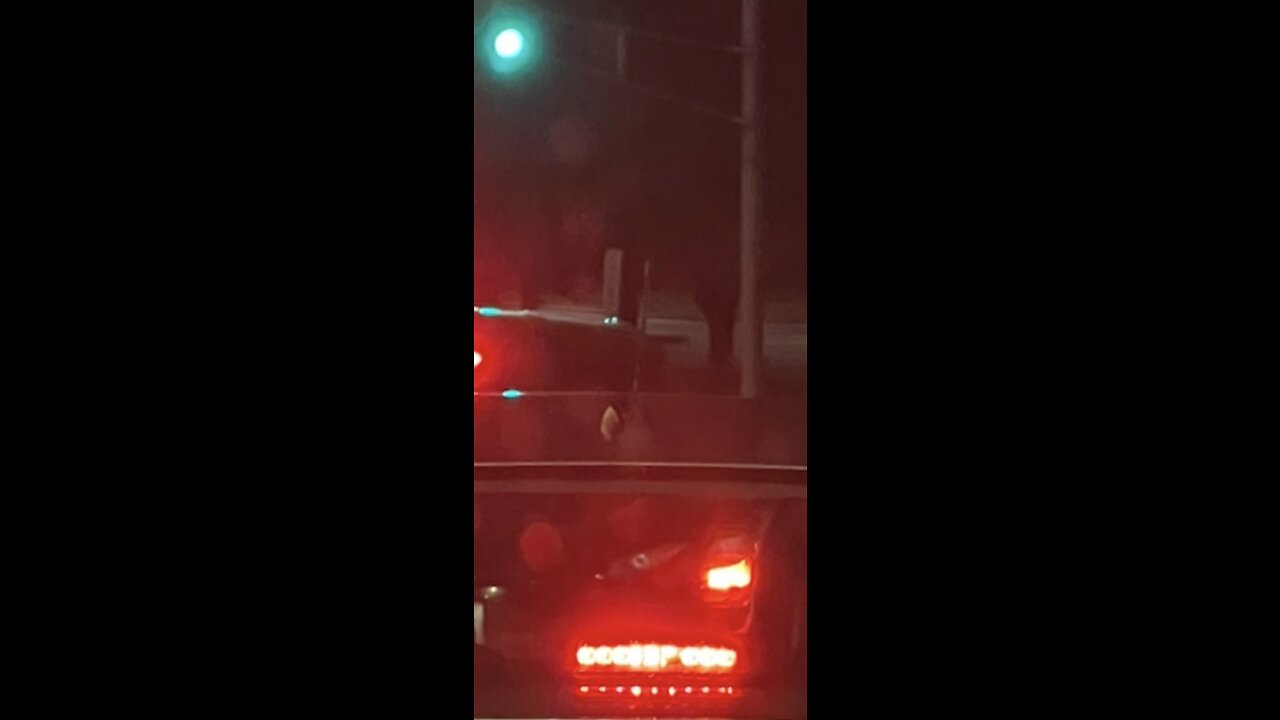 ❤️❤️❤️🤩❤️❤️❤️