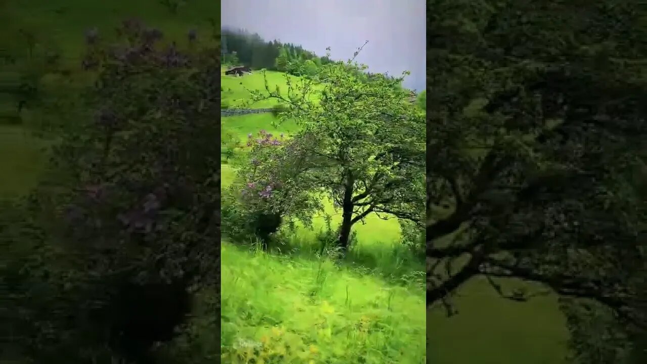 Canal=Léo Sócrates