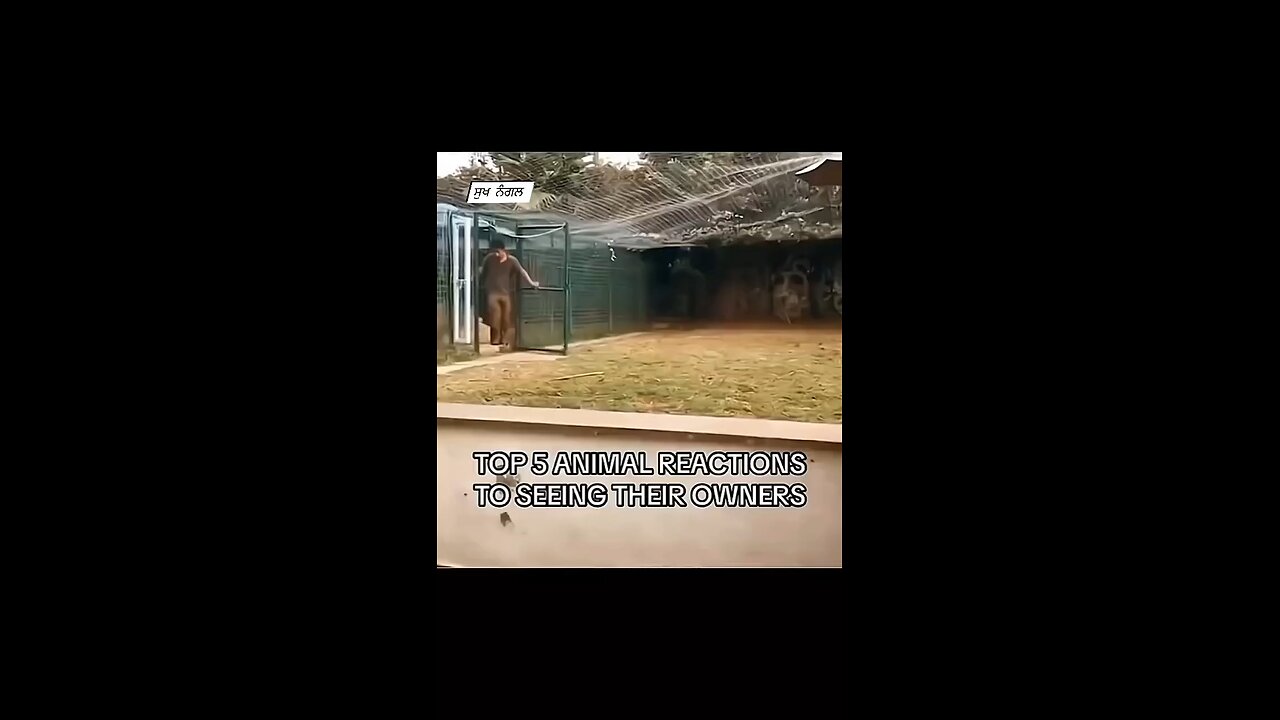 new video upload new trend