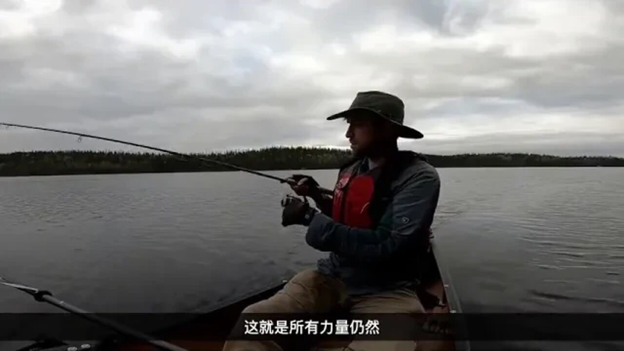 An exciting and thrilling wild life experience 14