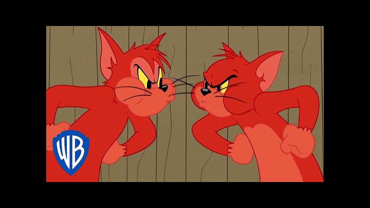 Tom & Jerry | The Tom and Butch Competition | WB Kids