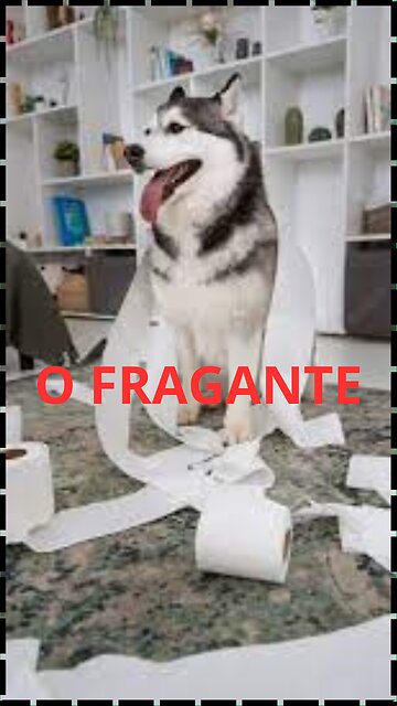 O FLAGANTE.