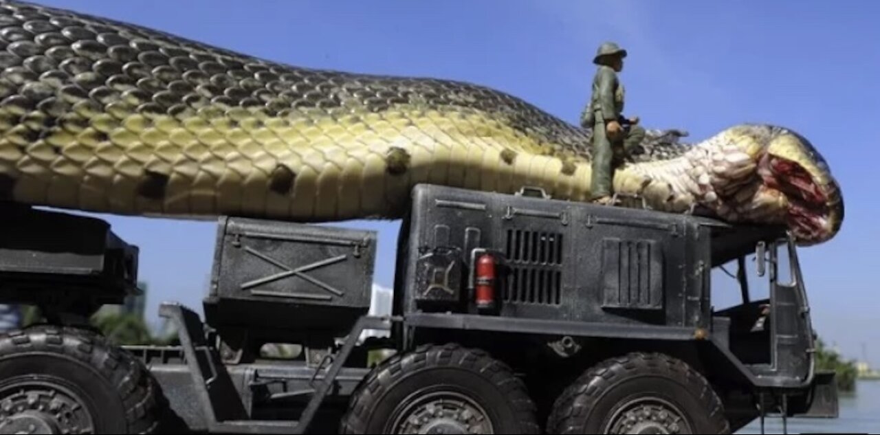 Giant Anaconda World's longest snake found in Amazon River