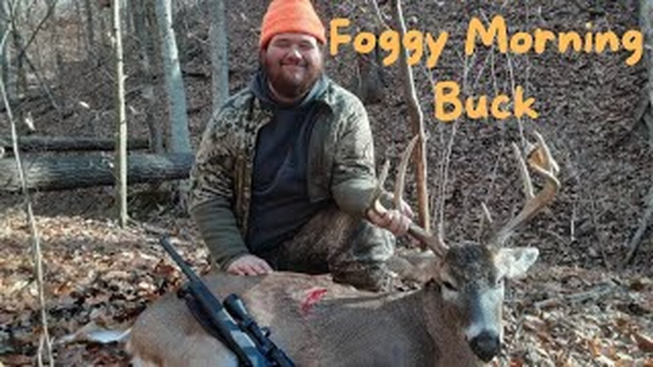 Foggy morning Buck