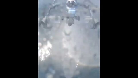 drone filma a maior baleia do que existe 😲😲