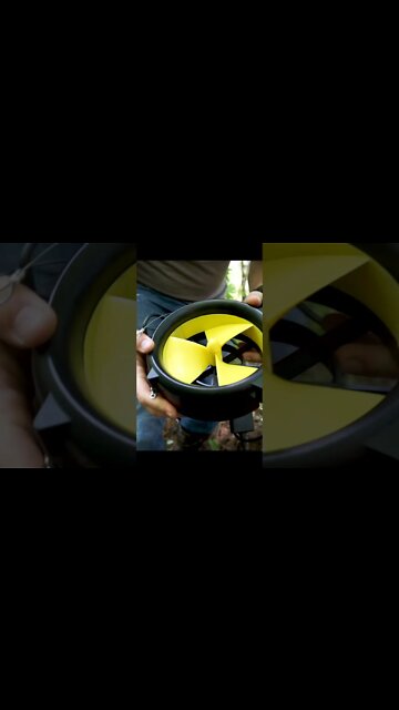 What is Water Lily #Shorts