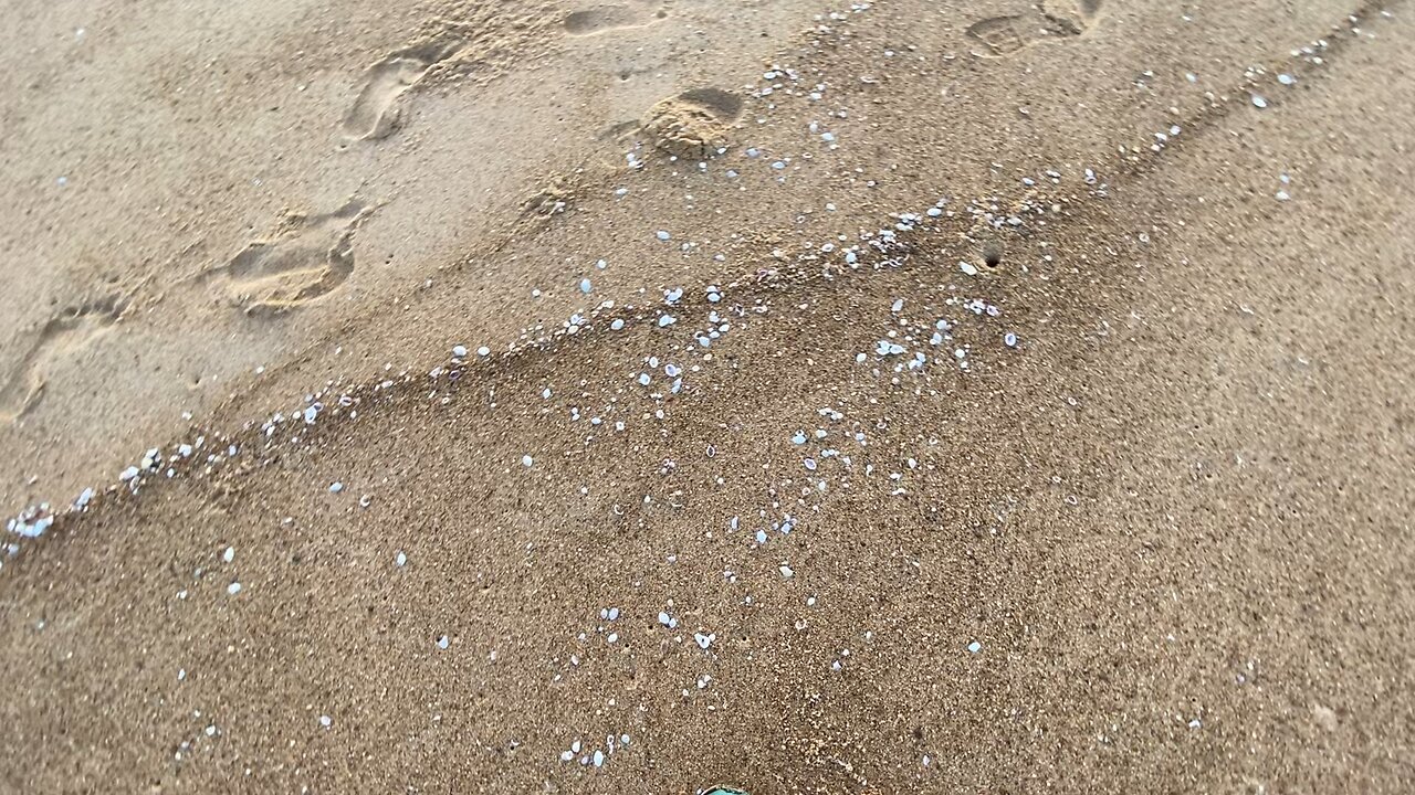 Goan beach