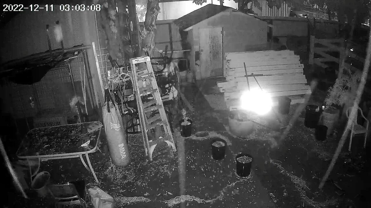 Backyard camera