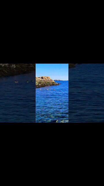 RELAX! Here's some gentle waves to help. #amsr #relaxation #nature #oceanwaves #shorts