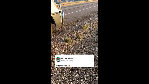 Snake in Arizona desert