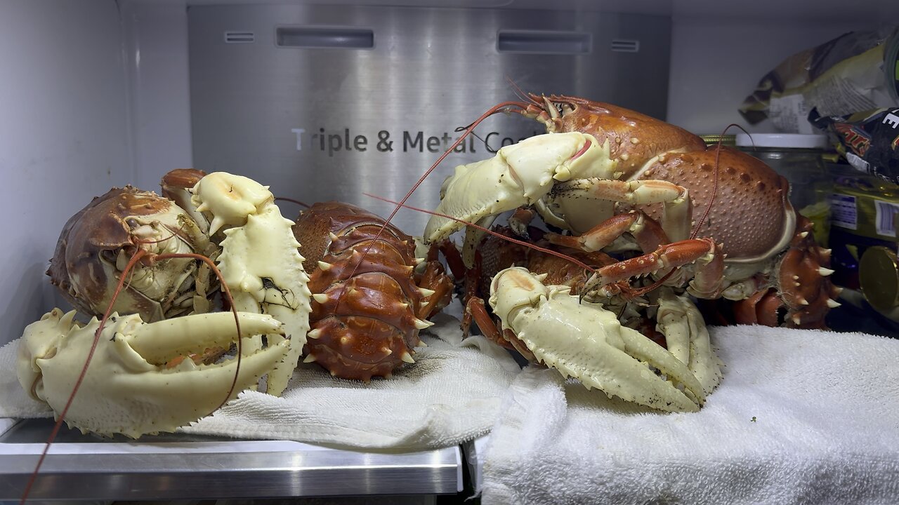 Fresh Crayfish With Chef