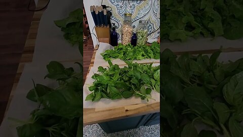 🌱First Garden Harvest of the Year 🌿😃 #shorts #gardening #homesteading