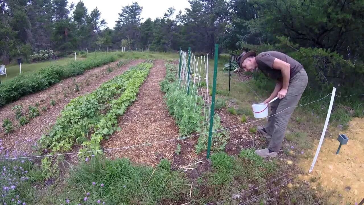 Rainy Day Gardening & Off Grid Wood Working