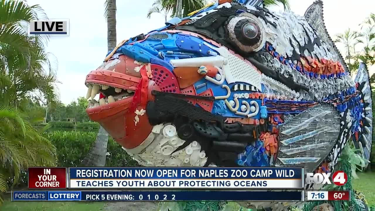 Naples Zoo features art exhibit, holds winter camp to educate the public on ocean pollution -- 7am live report