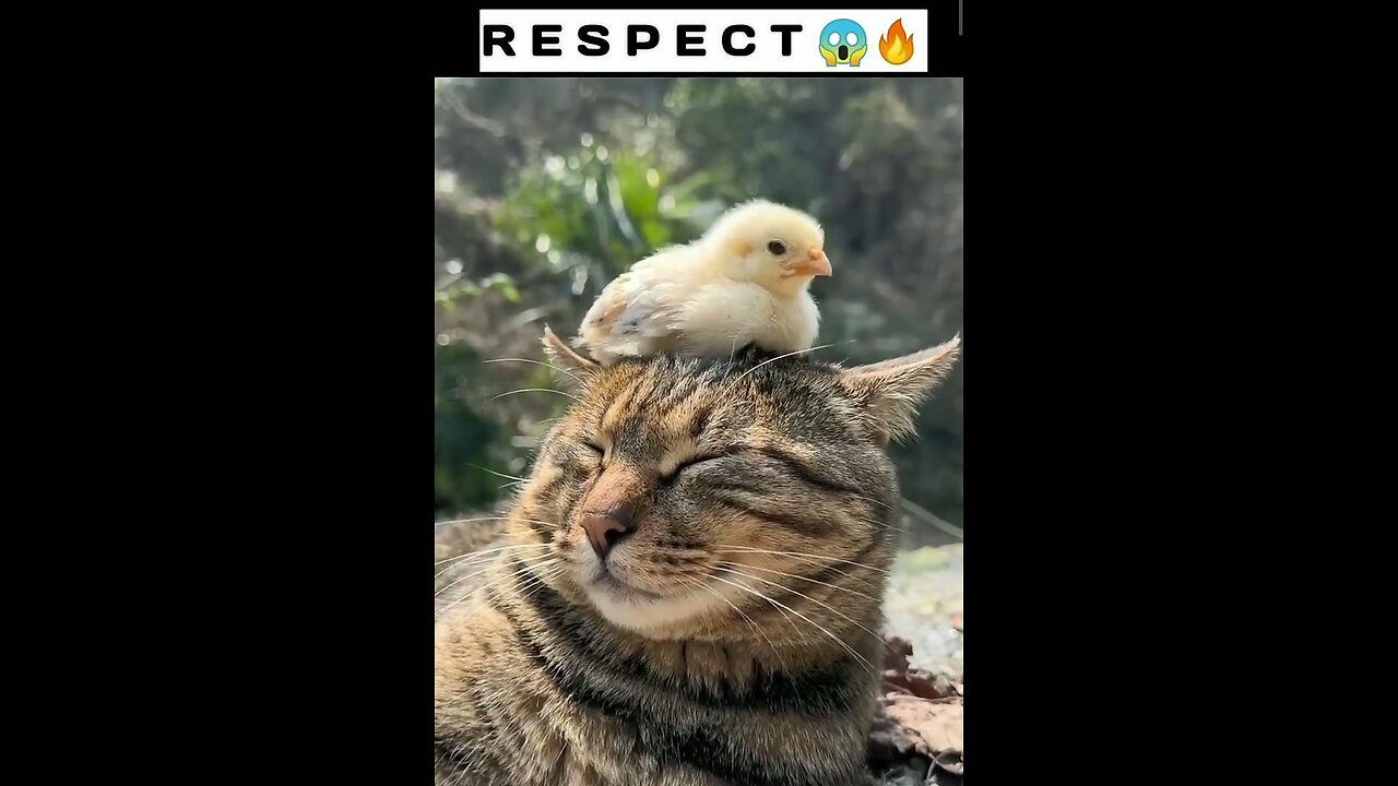 Respect🥰