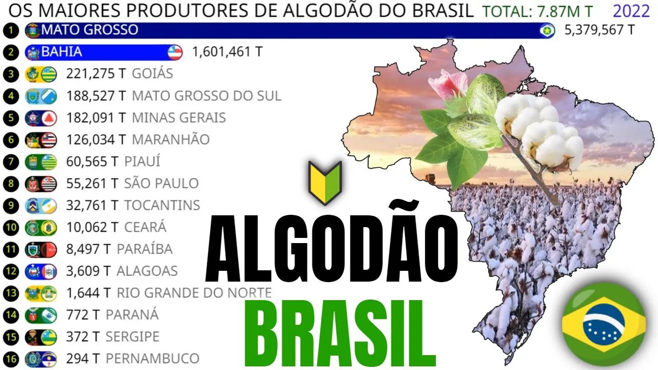 Os Maiores Produtores de Algodão do Brasil