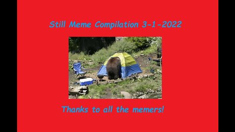 Still Meme Compilation 3-1-2022