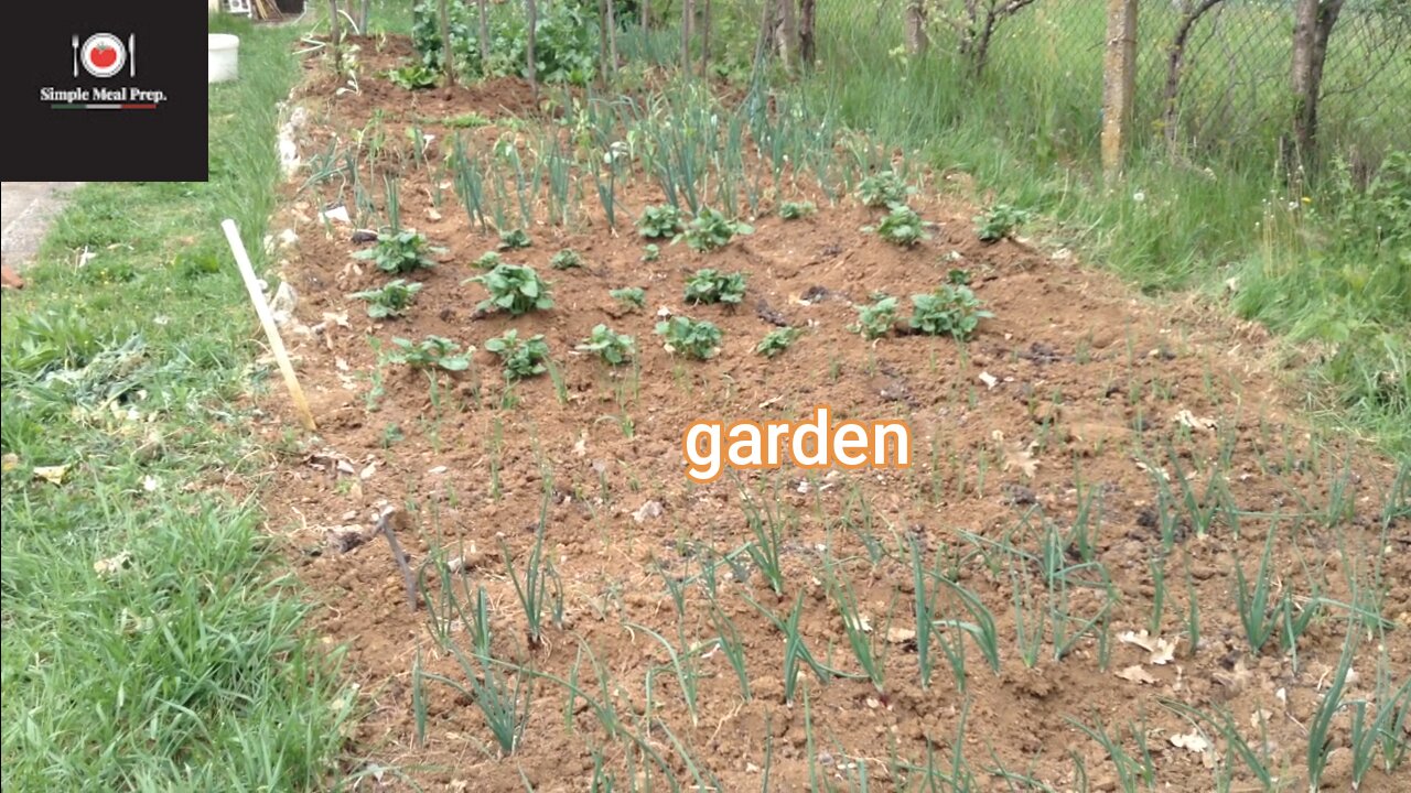 Garden may 2021.g.