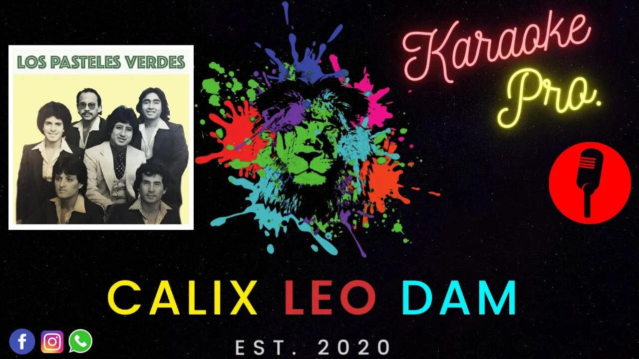 Solitario - | Los Pasteles Verdes | Karaoke Pro. |