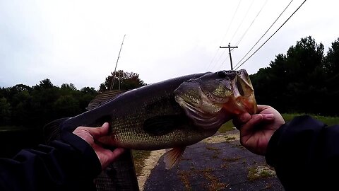 Throwback - Almost a 5 lber out of Brigham Pond in Hubbardston, MA