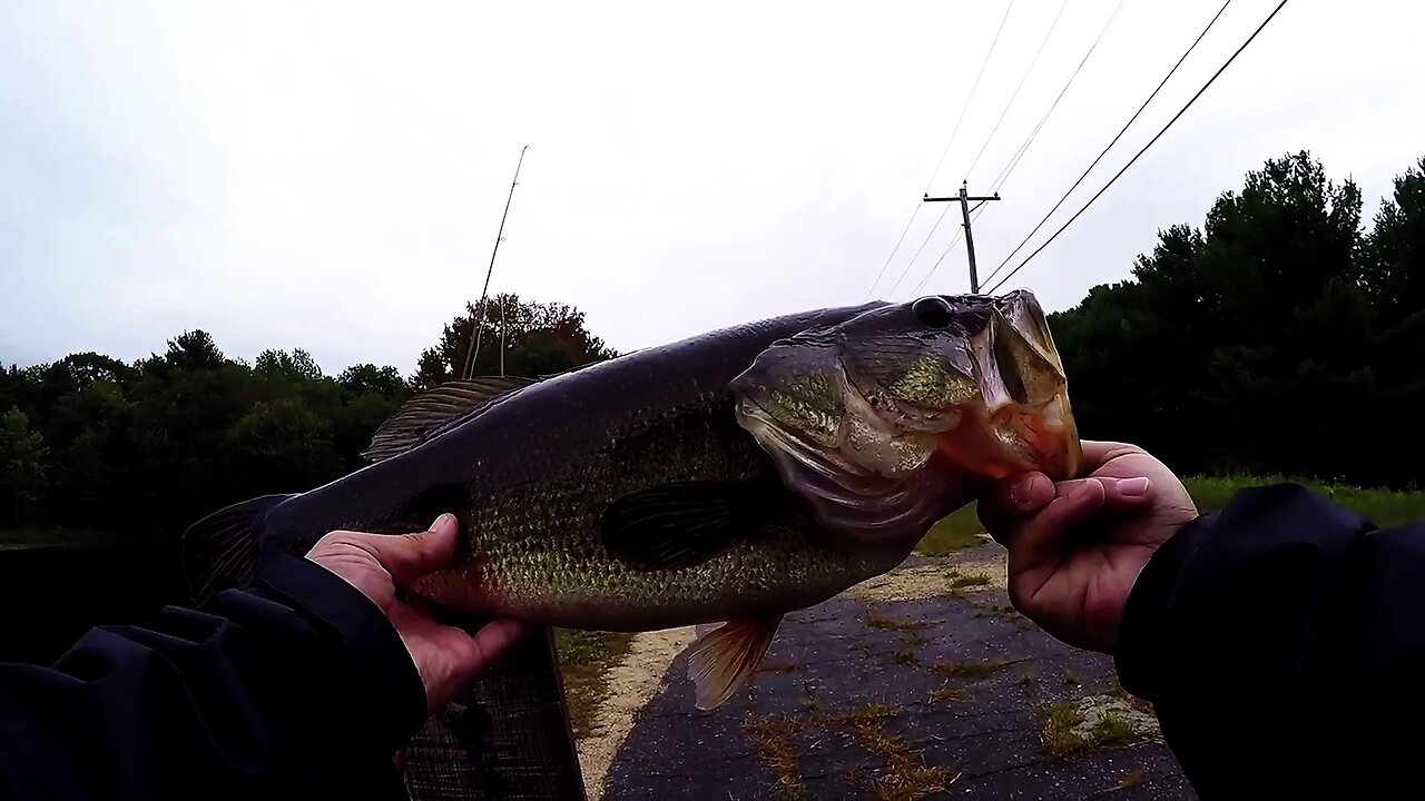 Throwback - Almost a 5 lber out of Brigham Pond in Hubbardston, MA