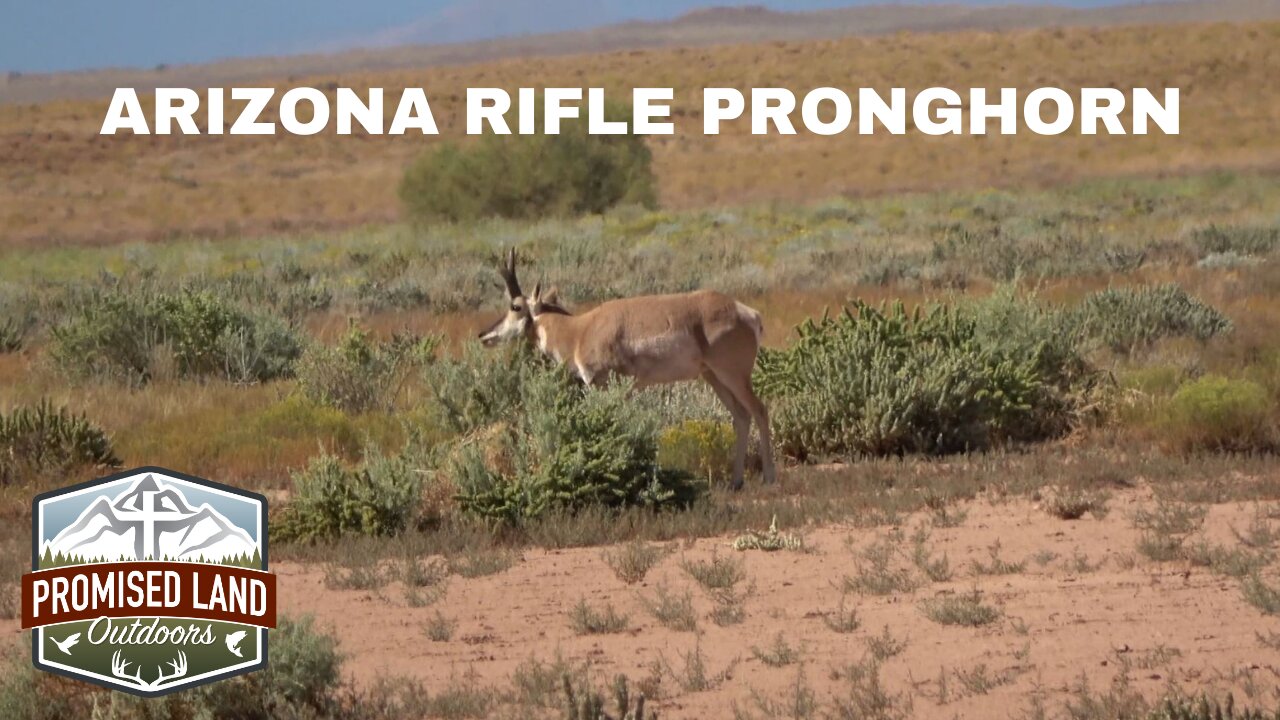 Arizona Antelope Hunt