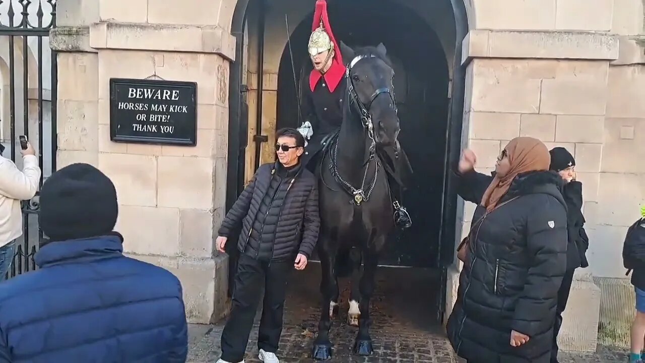 Never lean on the kings guards horse (GET BACK) #horseguardsparade