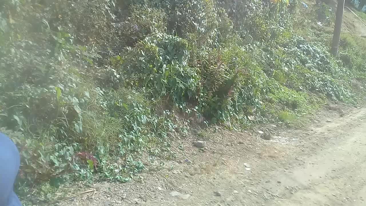 SOUTH AFRICA - Durban - Mango Close blocked with sand (Videos) (FJx)