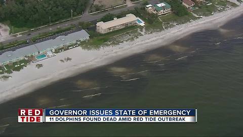 State of emergency declared due to FL red tide