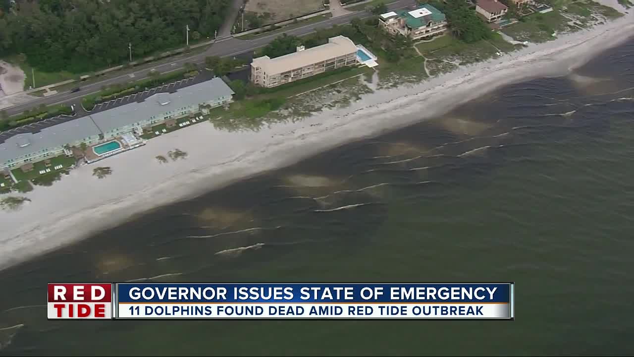 State of emergency declared due to FL red tide