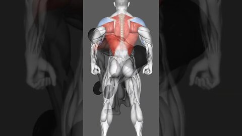 2 best exercises for back training with dumbbells