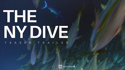 The New York Dive Trailer