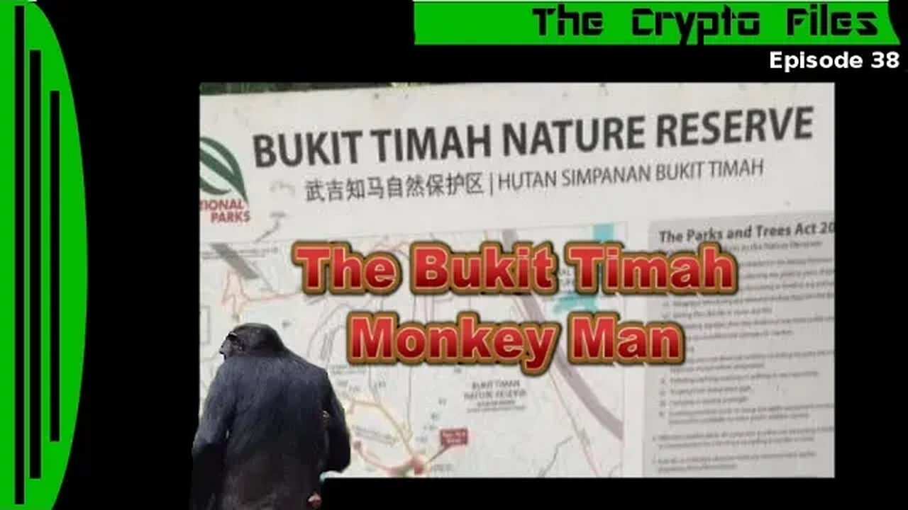 The Crypto Files | The Bukit Timah Monkey Man | Ep38