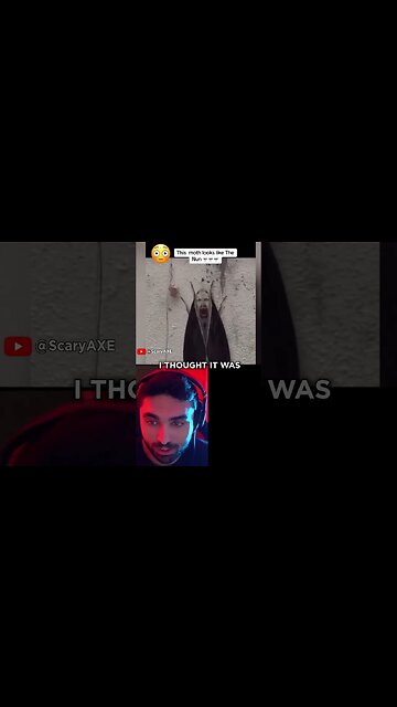 Creepy Looking Moth!