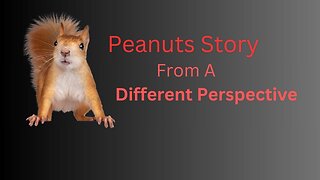 P'Nut's Story Told From Another Perspective! 🐿️🥜