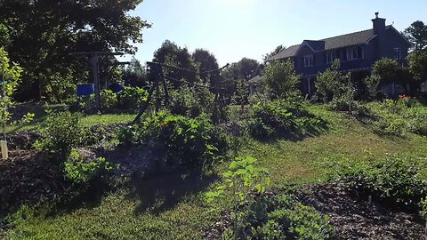 Canadian Permaculture Legacy - Intro clip