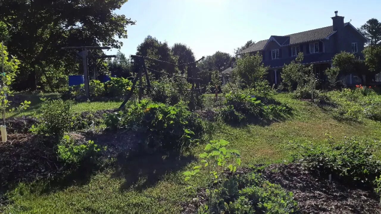 Canadian Permaculture Legacy - Intro clip