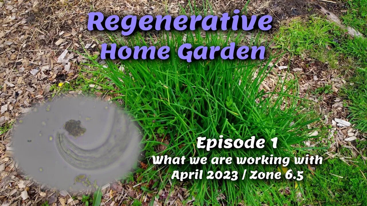 Regenerative Home Garden - episode 1 - What we are working with this season!