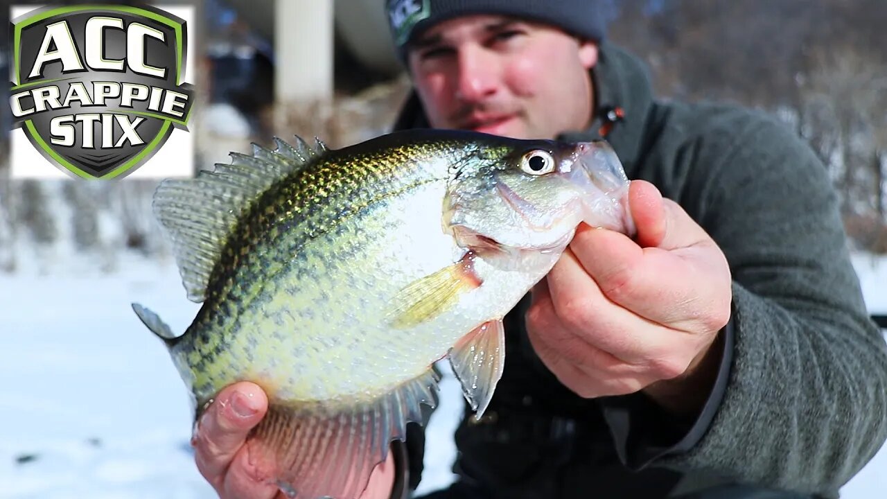 Crappie Fishing in February (Ice Fishing)