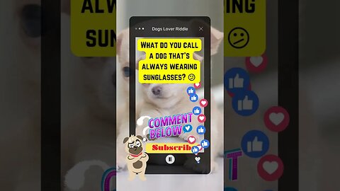 Dogs Riddle | Dogs Riddles in English | Riddles with Answer | Hard riddles | #shorts