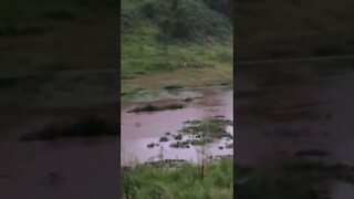 Sunrise flood evaluation