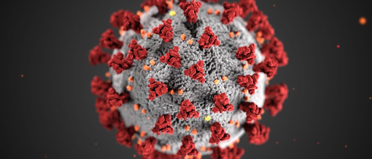 PCR Tests Produce False Positives