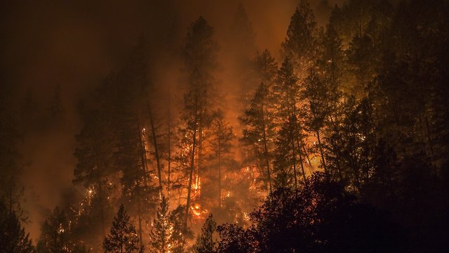 Report Links Some Of California's Deadly Fires To Power Lines